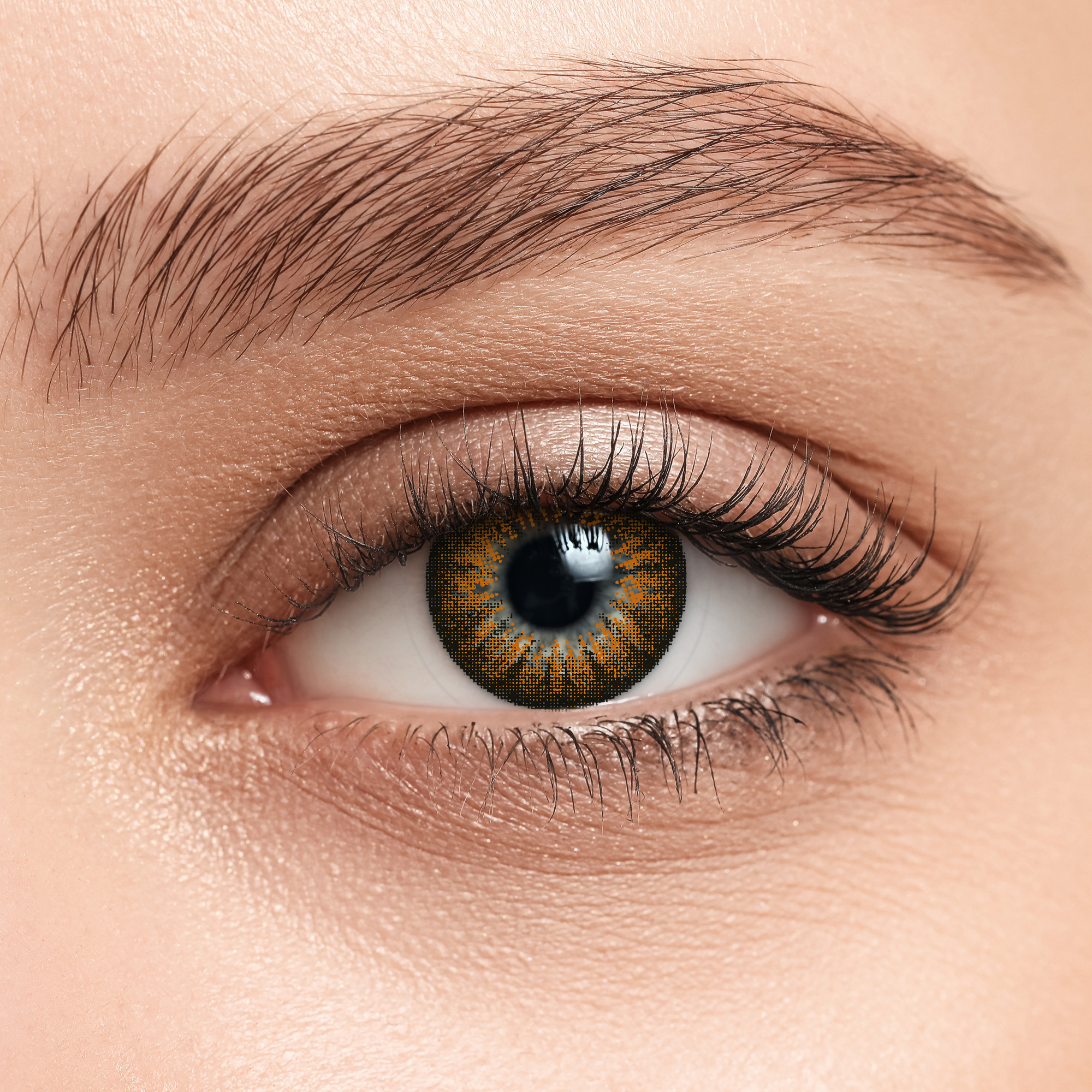 Коричневые контактные линзы ILLUSION FASHION LUXE BROWN