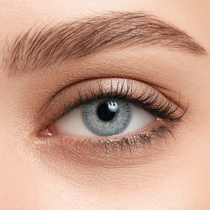 Серые контактные линзы ILLUSION COLORS SHINE GREY